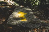 The Lead Measure