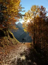 Trust Through Solitude