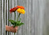 The Message of Your Actions