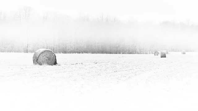 Creating Solitude