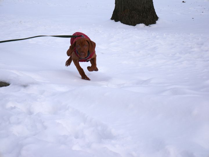 You Can Walk in Winter